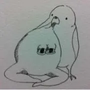 どいやさん