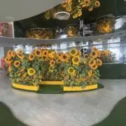 マルの画像