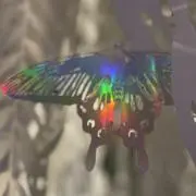 あーやんの画像
