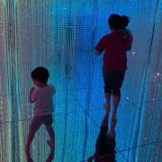 かじこの画像