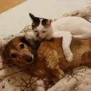 ☆三姉妹ママ☆