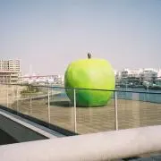 ずんだ