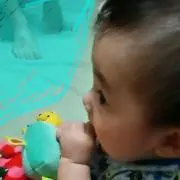めめ