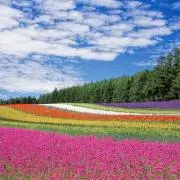 ☆a_yan shop☆の画像