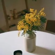 pjmaの画像