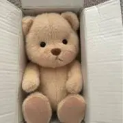 YUMIの画像