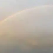 ひげ。の画像