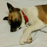 YUTAの画像