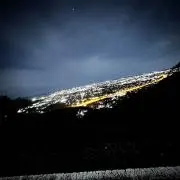 Tの画像