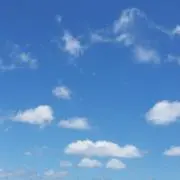 ちゃんこの画像
