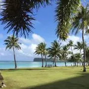 発送は平日になりますの画像