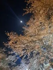 Y0112　要プロフ確認の画像