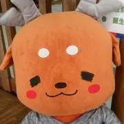 むーこ1250。