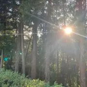 すの画像