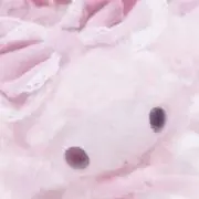 ❤︎ 【次回4/30発送】の画像