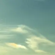 花の画像
