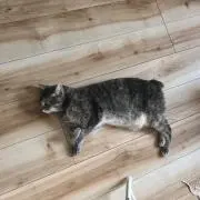 Maki1010の画像