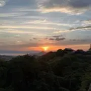 ほとけの画像