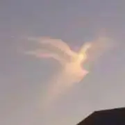 龍Ryoの画像