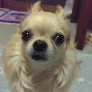 さらてん