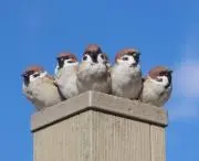 Sora☆値下げ交渉は金額ご提示下さい