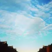 MT