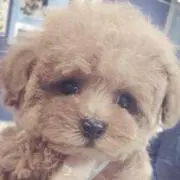 ゆぅ☆