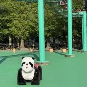 ぴぃの画像