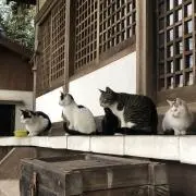 横おじ