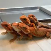 と。[フォロー割500円引き]の画像