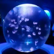 てん。