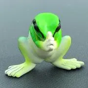 GRの画像
