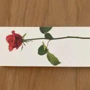 イビザの画像