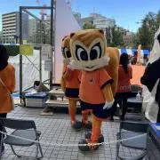 メイルカリバーの画像