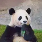 おやつの画像