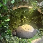 ひなぼうの画像