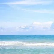 くらげ※プロフの確認をお願いしますの画像