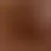 hoの画像