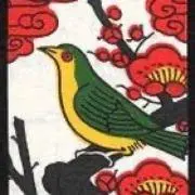 梅鶯