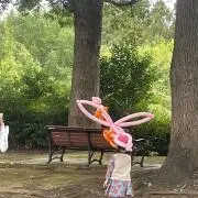 十六夜の画像