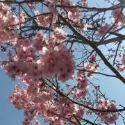 みん