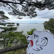 ぽけの画像