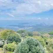 ノリ || 24時間以内発送の画像
