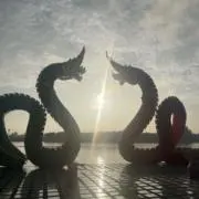 ショーの画像