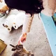 ちゃんま