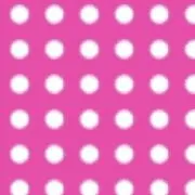 ʕ•ᴥ•ʔ＊の画像