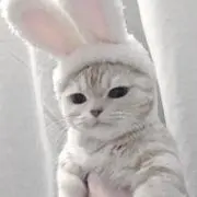Miiの画像