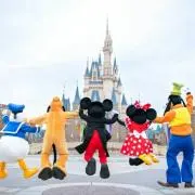 isney【プロフを一読願います】の画像