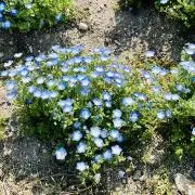 み⭐︎の画像