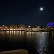 hinnの画像